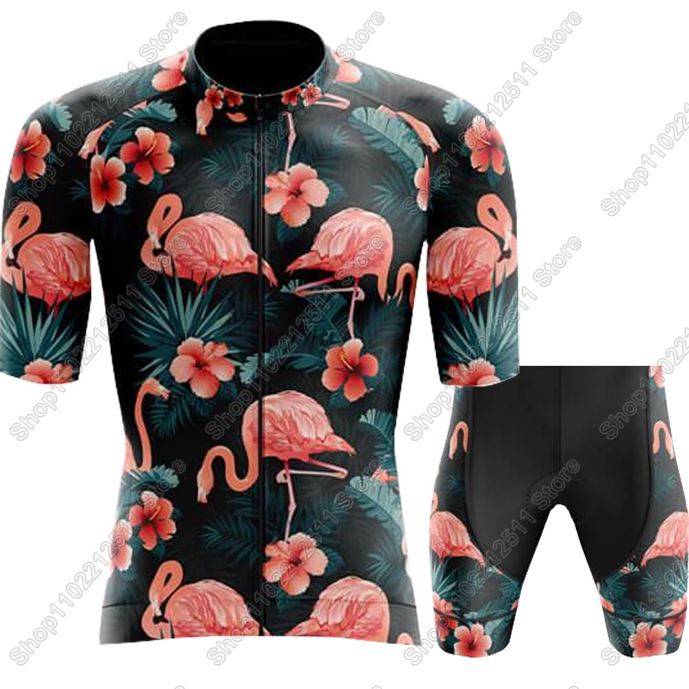 2025 フラミンゴサイクリングジャージセット自転車服男性夏 - Summer Clothing Men 2025 のレビューと価格